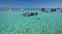 Stingray City and Snorkeling Tour Starfish Point Adventure