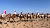 Agafay Desert with Quad &Camel ride&Swimming pool and dinner Show