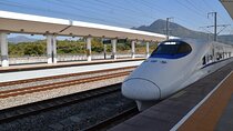 Beijing to Xi’an: Bullet Train Ticket & Terracotta Warriors Tour
