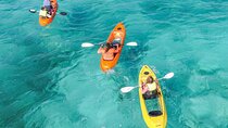  Explore Aruba Coastline with Kayaking Tour