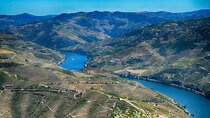 Full-day private Douro Valley Tour from DE Lisbon