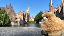 Bruges Walking Tour with Belgian Food Tastings and Private Guide