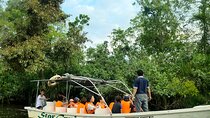 Beringgis Mangove Fireflies and Sunset Tour & Dinner