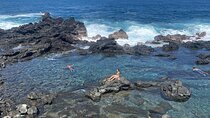 Secret Tide Pool Hike - Jungle & Coast - Private