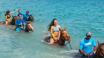 Skip the Line at Chukka Outpost Access up to 4 Activity 1 ticket 