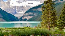 Moraine Lake, Lake Louise, Banff Highlights & Wildlife Expedition