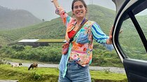 4 Day Kerala Tour Athirappilly Munnar Alleppey