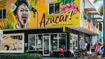 Miami South Beach & Wynwood Tour and Little Havana & Cruise 