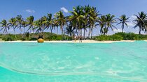 Isla Contoy & Isla Mujeres Tour from Cancun & Playa Del Carmen