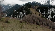 Experience Hiking to Altynbas Mountain