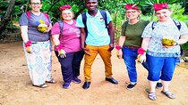 Zanzibar to mikumi safaris