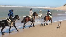 2-Hour Horseback Riding Experience & Traditional Lunch – Agadir