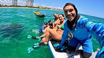 Hollywood Snorkel, Kayak & Paddleboard with Reefs and Sculptures