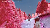 Winter One Day Tour in Pocheon