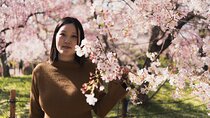 Cinematic Photoshoot Osaka 1-hour Day or Night 