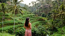 Ubud Private Tour by Luxury Car