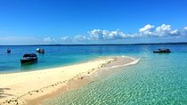 Nakupenda & Prison Island Tour with Lunch W/Transfer - Zanzibar