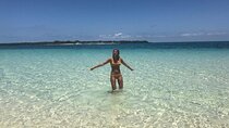Prison Island & Spice Market Tour, Lunch & Transfer - Zanzibar