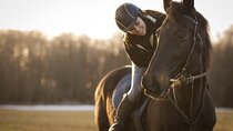 2-Hour Horseback Desert Riding Experience – Agadir