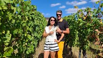 Romantic Rheingau Wine Escape