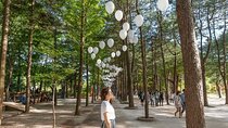 Nami, Petite France, Italian Village and Gangchon Rail Bike Tour