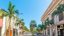 Los Angeles Art Walk: A City Stroll Full of Color and Culture