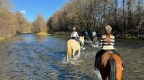 Horseback Adventure in the Forest and River - Agadir