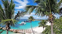 Catalina Island, Aventure of Snorkel, beach & Buffet Lunch
