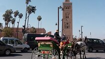 Marrakech 1 hour Horse Carriage Rides