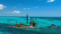 Amazing Snorkel Adventure! Round Transportation From Cancun