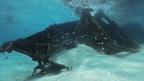 Snorkel Experience In Cancun! Reef and Sunken Ship