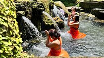 Ubud Private Day Tour: Temples, Rice Terraces & Waterfalls