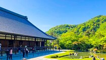 Private Arashiyama Tenryuji Temple Bamboo Grove and Monkeys Tour