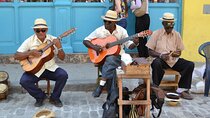 Miami City Tour & Celebrity Homes Cruise+Cuban Coffee Experience