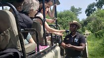 Explore Rhino Game Drive plus Sunset Cruise