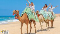Camel Ride Adventure Cabo San Lucas