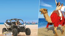 Cabo Adventure: Can-Am X3 Ride & Camel Beach Tou