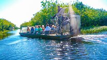 Everglades Adventure with Transportation from Miami