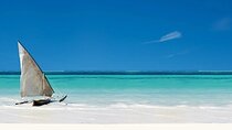 Nungwi Village & Swimming Sea Turtles With Transfer - Zanzibar