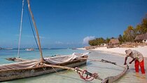 Nungwi Village & Swim with Sea Turtles With Transfer - Zanzibar