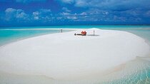 Nakupenda Island Snorkeling Adventure, Lunch, Transfer - Zanzibar