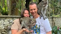 Explore Monkey Forest Ubud Rice Terrace Waterfall and more