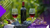 Private Tour of Bodrum City, Etrim Village, Karnas Vineyards