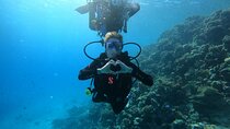 Taster Diving in Hurghada Two dives in the Red Sea
