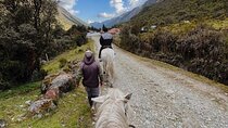 Enjoy a 2-Hour Horse Ride with a Delicious Lunch - Agadir