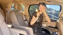 Private transfer from Tianjin Cruise Port to Beijing hotel 