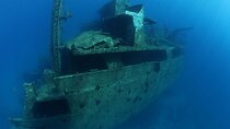 Dubai Scuba Diving Private Trip Experience