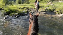 Enjoy a Scenic 2-Hour Horse Ride with a Delicious Lunch – Agadir
