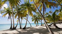 Saona Island Tour