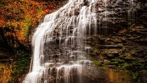 Hamilton Fall Colours & Waterfalls Experience from Toronto